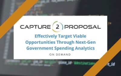 Effectively Target Viable Opportunities Through Next-Gen Government Spending Analytics